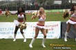 Thumbs/tn_IMG_6729.jpg
