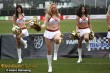 Thumbs/tn_IMG_6733.jpg