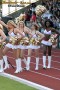 Thumbs/tn_IMG_1962.jpg