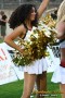 Thumbs/tn_IMG_1313.jpg