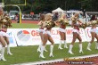 Thumbs/tn_IMG_2778.jpg