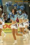 Thumbs/tn_IMG_6511.jpg