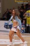 Thumbs/tn_IMG_9428.jpg