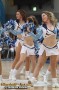 Thumbs/tn_IMG_1623.jpg