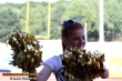 Thumbs/tn_IMG_6684.jpg
