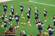 Thumbs/tn_100_3565.jpg