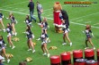 Thumbs/tn_100_3575.jpg