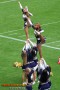 Thumbs/tn_100_3583.jpg