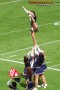 Thumbs/tn_100_3588.jpg