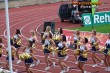 Thumbs/tn_100_3684.jpg