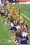 Thumbs/tn_100_3740.jpg