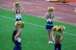 Thumbs/tn_100_3759.jpg