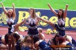 Thumbs/tn_100_3770.jpg