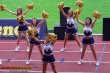 Thumbs/tn_100_3774.jpg