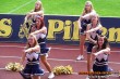 Thumbs/tn_100_3786.jpg