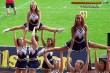 Thumbs/tn_100_3796.jpg
