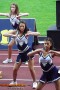 Thumbs/tn_100_3827.jpg