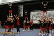 Thumbs/tn_IMG_5978.jpg