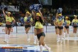 Thumbs/tn_IMG_2168.jpg
