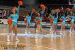 Thumbs/tn_IMG_4007.jpg