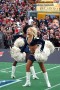 Thumbs/tn_rams-cheers_055.jpg