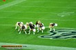 Thumbs/tn_rams-cheers_152.jpg