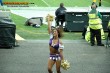 Thumbs/tn_mvc_ak-39.jpg