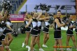 Thumbs/tn_DFB_3562.jpg