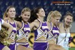 Thumbs/tn_DFB_4532.jpg