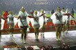 Thumbs/tn_IMG_0594.jpg