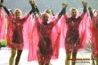 Thumbs/tn_IMG_0667.jpg