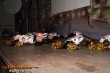 Thumbs/tn_IMG_8950.jpg