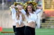 Thumbs/tn_IMG_4215.jpg