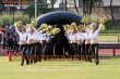Thumbs/tn_IMG_2895.jpg