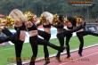 Thumbs/tn_DFB_0595.jpg