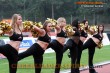Thumbs/tn_DFB_0608.jpg