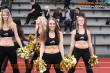 Thumbs/tn_DFB_0750.jpg
