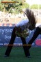 Thumbs/tn_IMG_6632.jpg