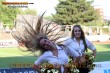 Thumbs/tn_IMG_6653.jpg