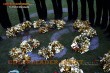 Thumbs/tn_IMG_7379.jpg