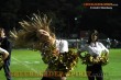 Thumbs/tn_IMG_2220.jpg