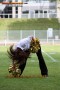 Thumbs/tn_IMG_2507.jpg