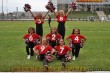 Thumbs/tn_IMG_3582.jpg