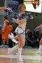 Thumbs/tn_IMG_5955.jpg