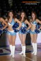 Thumbs/tn_IMG_9725.jpg