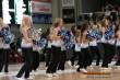 Thumbs/tn_DFB_4674.jpg