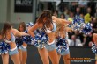 Thumbs/tn_DFB_4781.jpg