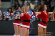 Thumbs/tn_DFB_5104.jpg