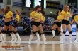 Thumbs/tn_DFB_9268.jpg