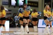 Thumbs/tn_DFB_9270.jpg